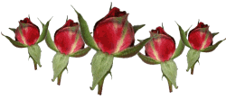 rosebar